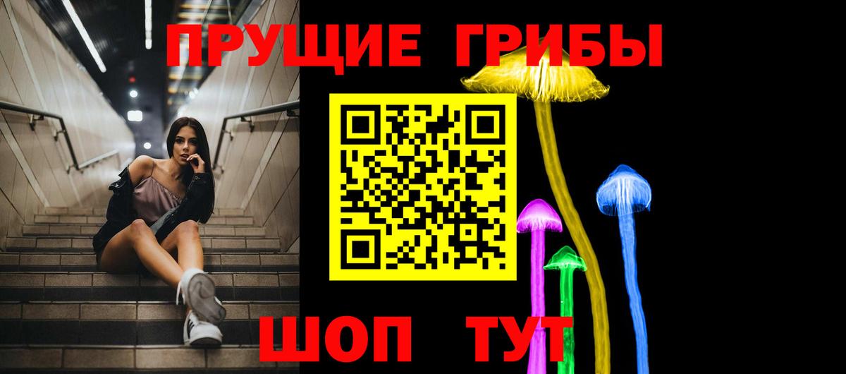 Псилоцибиновые грибы Psilocybine cubensis  Вход с VPN  Елец  Псилоцибиновые грибы Cubensis 